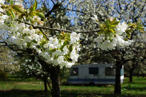 Glanz vor bescheidener Hütte
