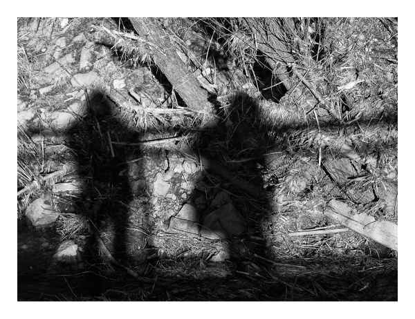 Schattenspiele