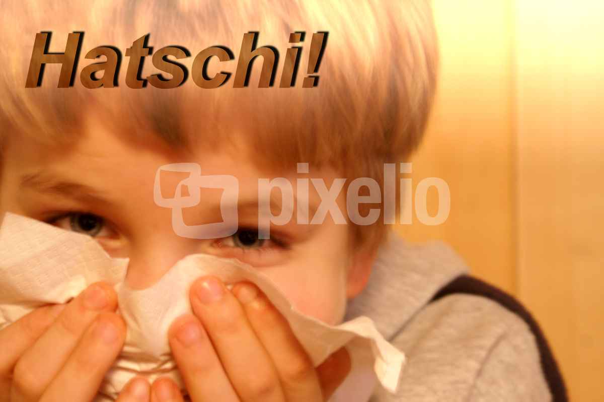 Hatschi!