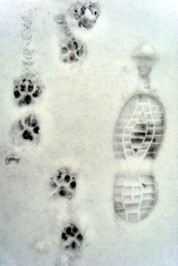 Gemeinsam durch Schnee und Eis bis an das Ende der Welt