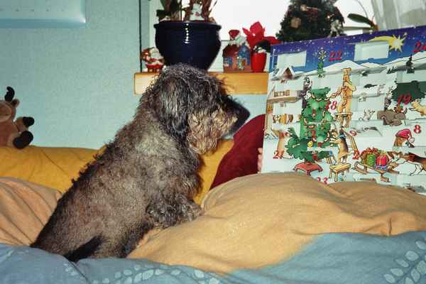Wann ist denn nun Weihnachten?