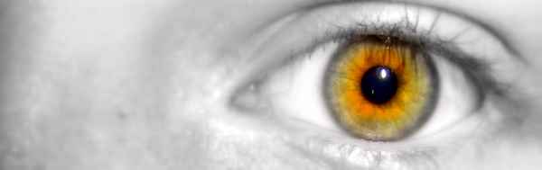 Eye