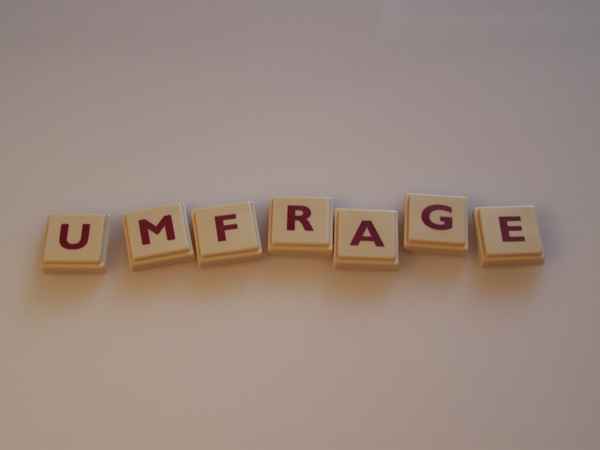 Wortbild Umfrage