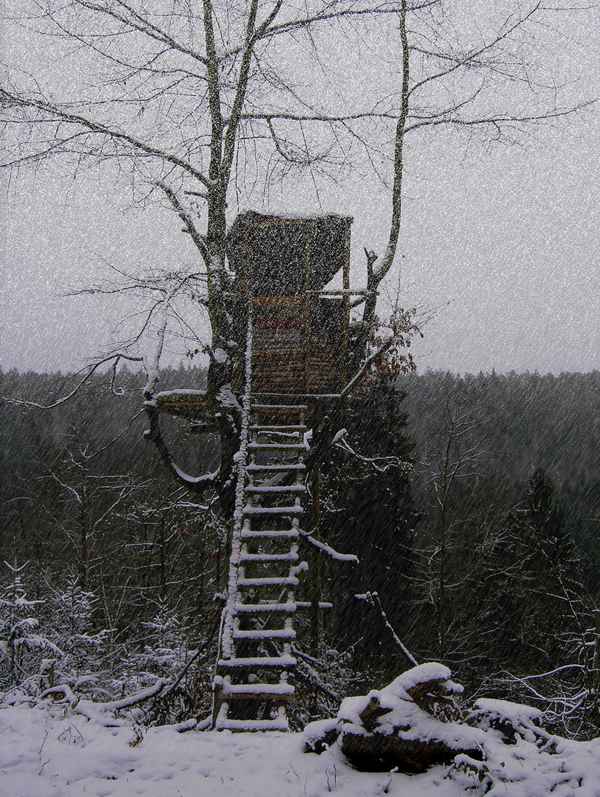 Schneetreiben kurz vor Weihnachten 2005