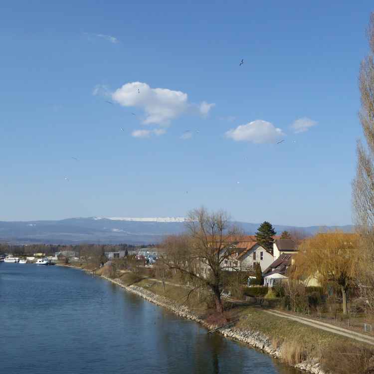 Murtensee / 4 / Broyekanal
