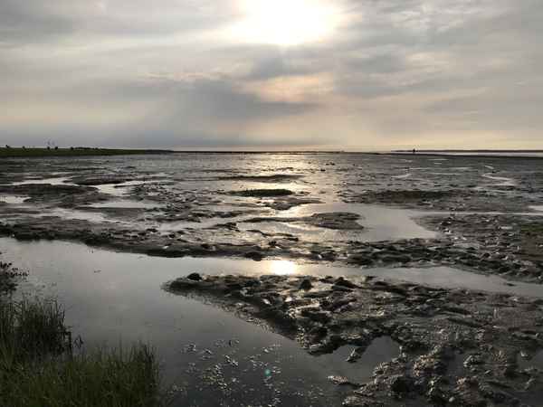 Wattwanderung am Abend / Foto: Alexander Hauk