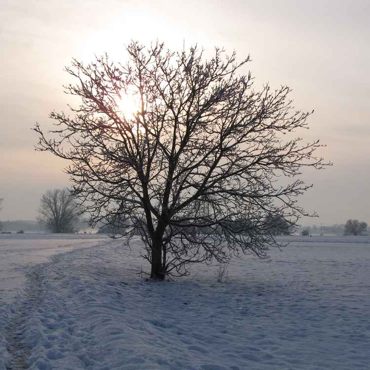 Bei Sonnenaufgang unterwegs