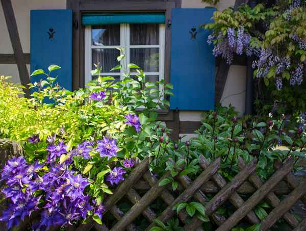 Hier wohnt ein Blumenfreund/in