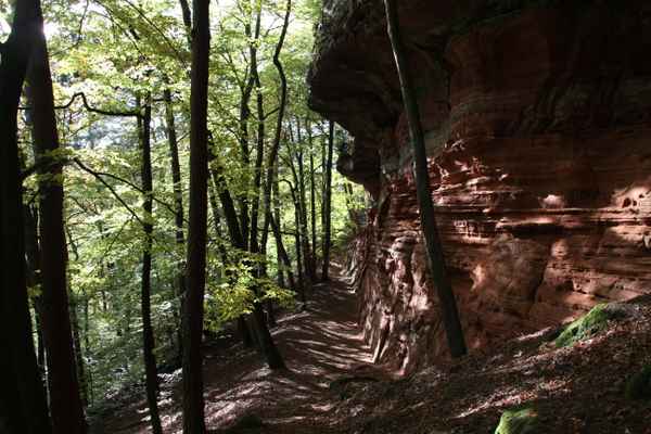 Altschlossfelsen im Pfälzerwald