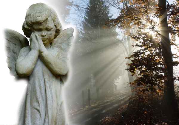 Himmlischer Wegbegleiter