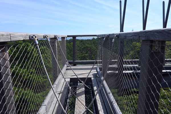 Baumwipfelpfad von Heringsdorf