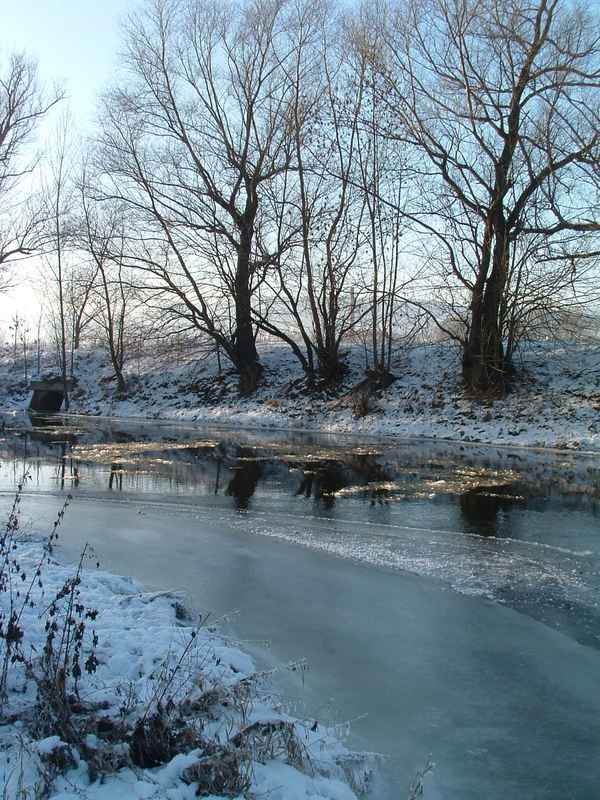 Winter an der Saale