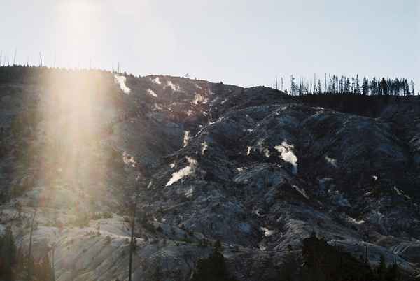 Yellowstone NP