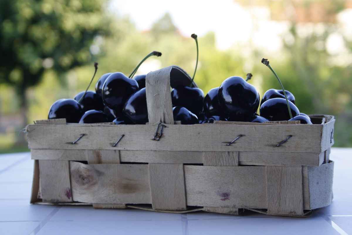 schwarzes Süsskirschen #2