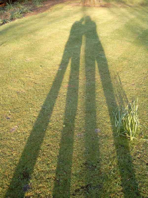 Wir 2