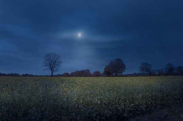 Friedvolle Stille