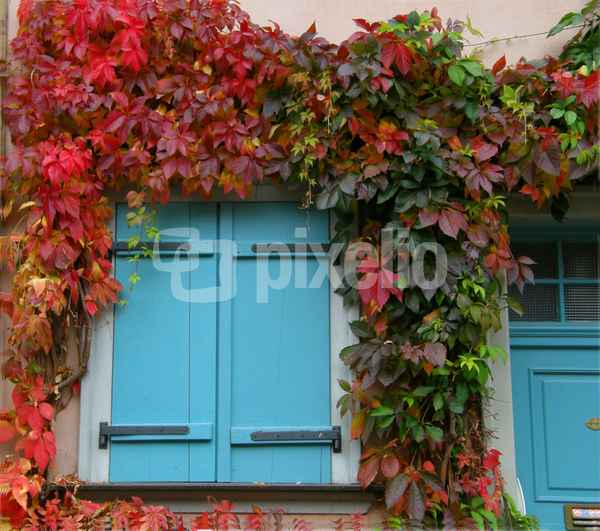 Herbstimpression