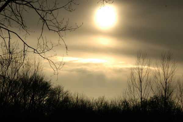 Wintersonne