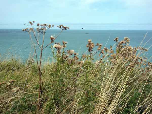 Blick aufs Meer am Cap Frehel
