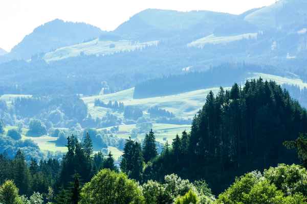 Bergalmen im Gegenlicht (Wanderland)