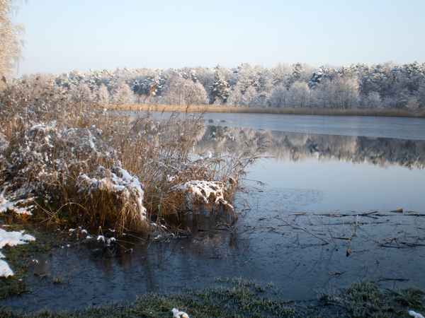 winter am see