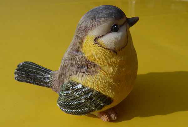 Vogel, der nicht fortfliegt