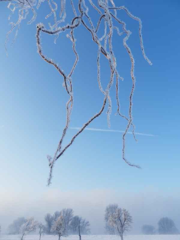 Januarmorgen hinter dem Deich