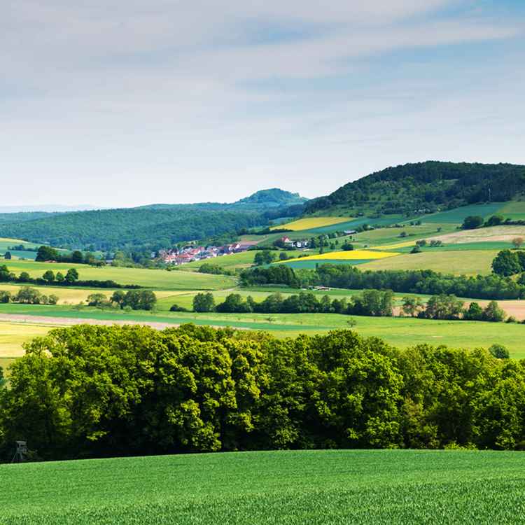 Wandern im Wonnemonat