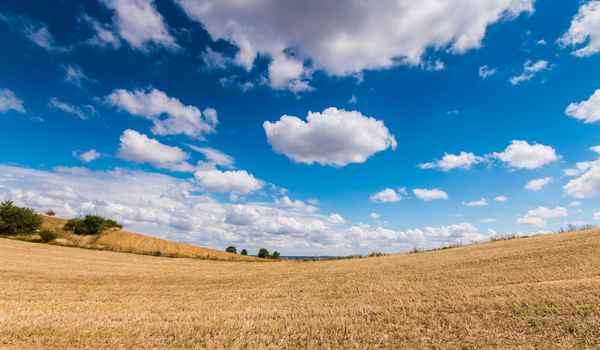 Erinnerung an den Sommer