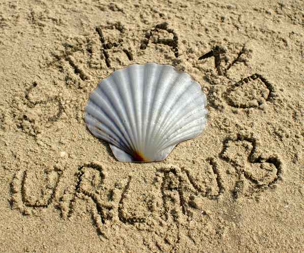 Strandurlaub - Endlich Sommer - 63