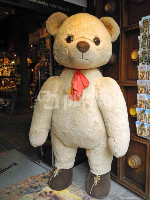 Teddy (1)