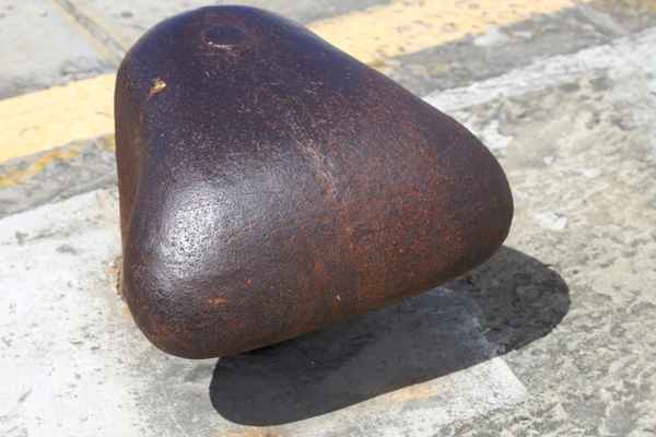 Poller 2