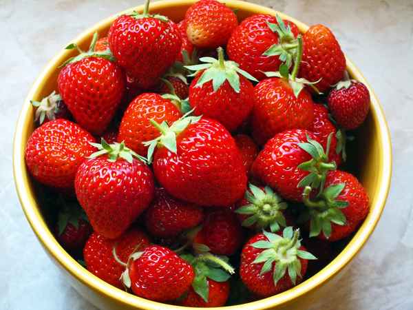 Erdbeeren