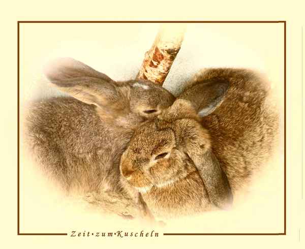 Zeit zum Kuscheln