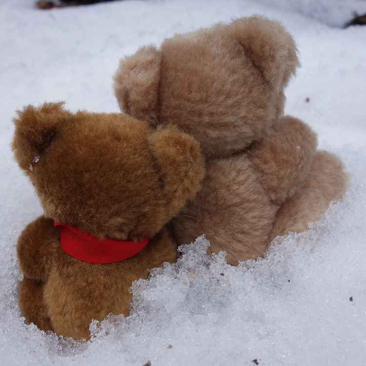 Kuschliger Winter :-)