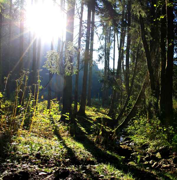 IDYLLE AM BACH