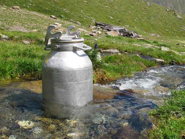Wassergekühlte Milch...