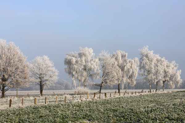 ein klarer wintertag 2