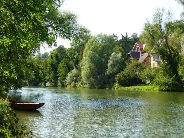 Sommerstimmung am Neckar