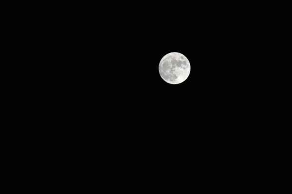 Mond