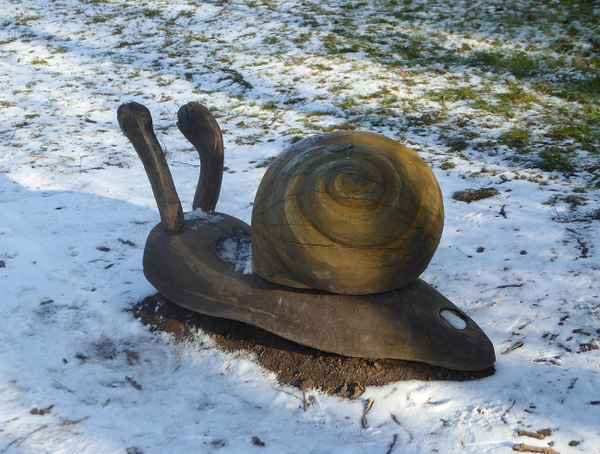 Schnecke im Winter