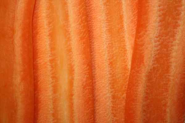 Slices of fresh organic carrot