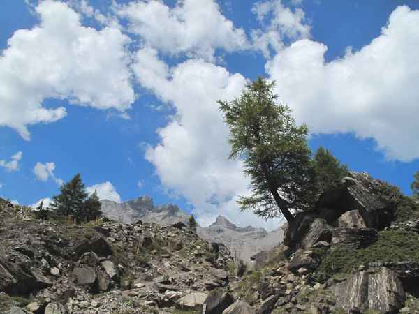 Voralpenlandschaft in der Westschweiz