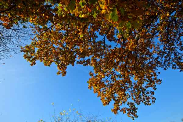 Das Wetter am 1. November 2015