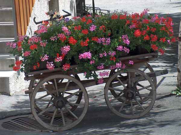 Alter Wagen im neuen Kleid