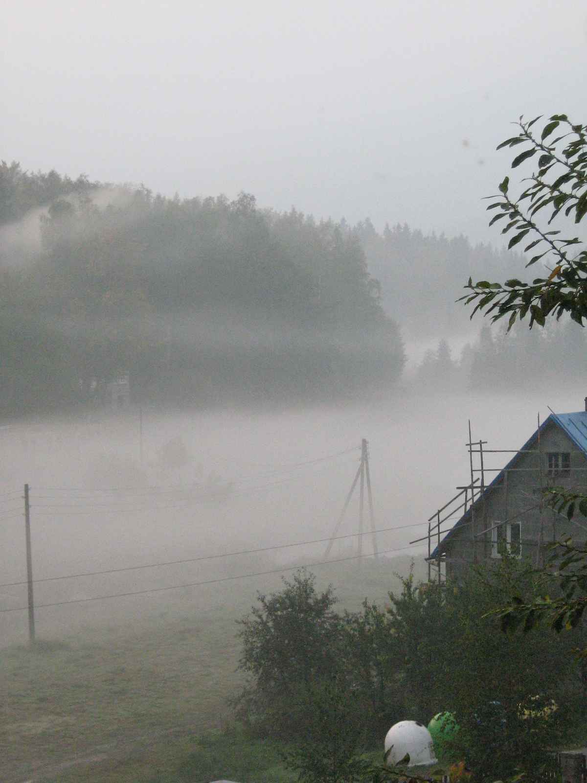 Morgennebel