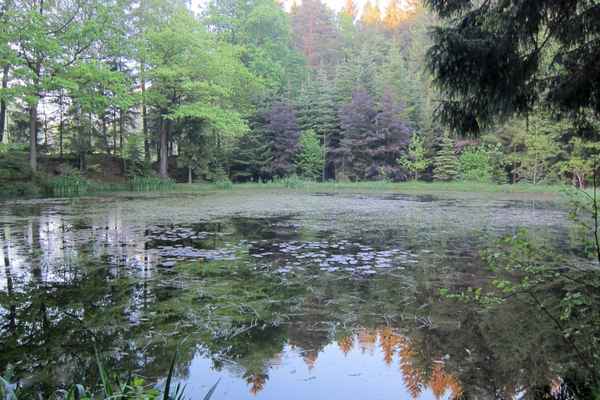 Oberer Glöckelteich