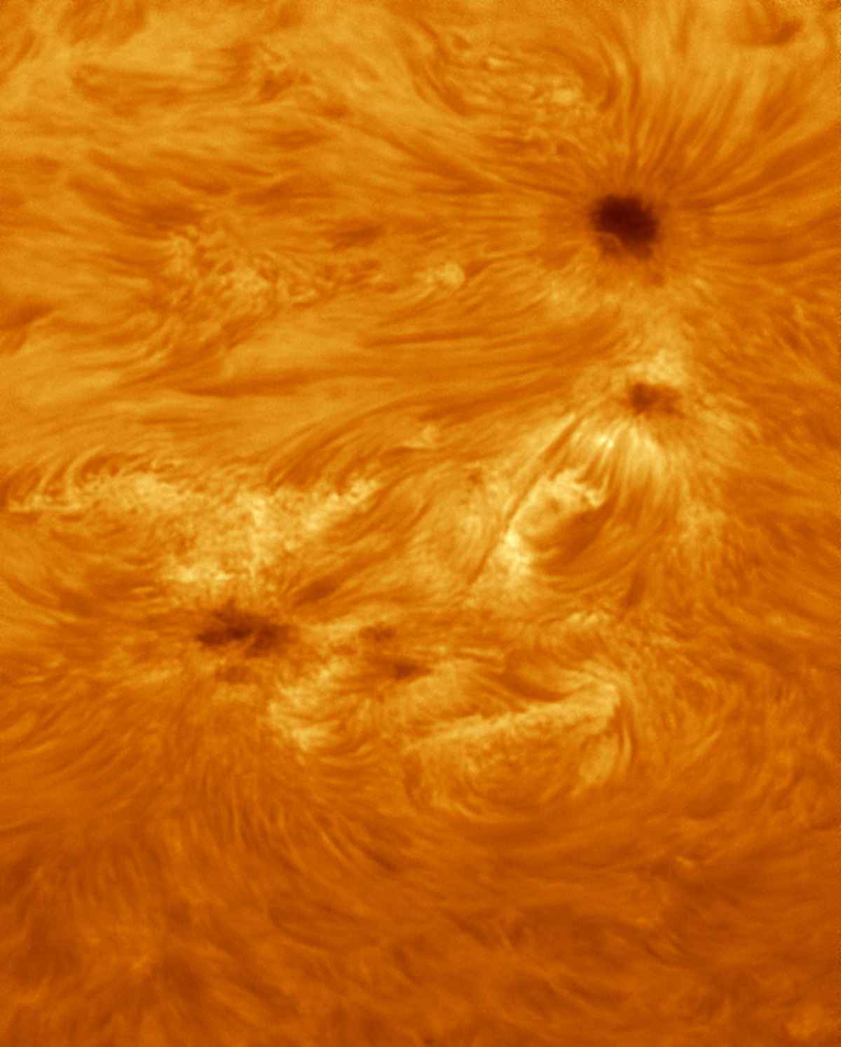 Sonne mit Aktiver Region 2672 am 22. August 2017