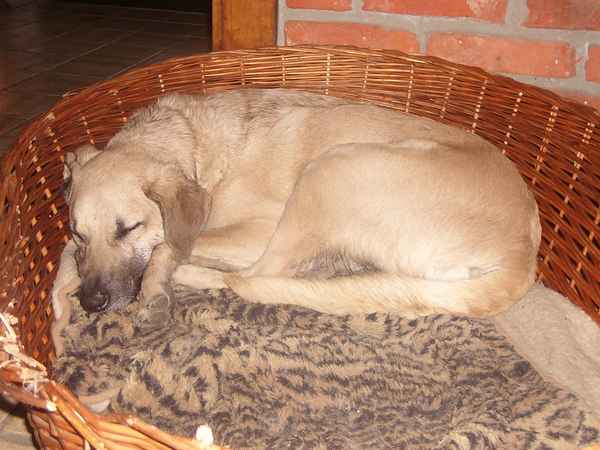 Wenn es etwas gibt, dass...