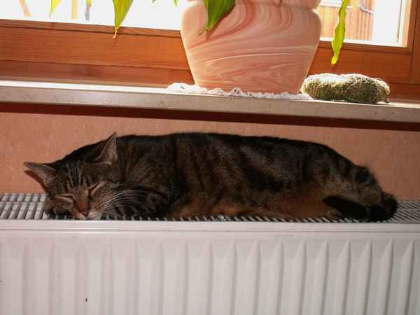 Ist mir kalt!